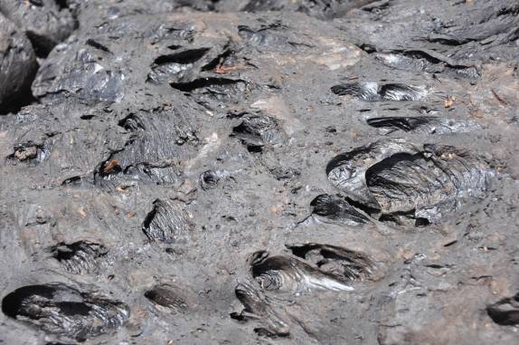 Superfície argilosa do Pitch Lake, região de San Fernado, em Trinidad e Tobago